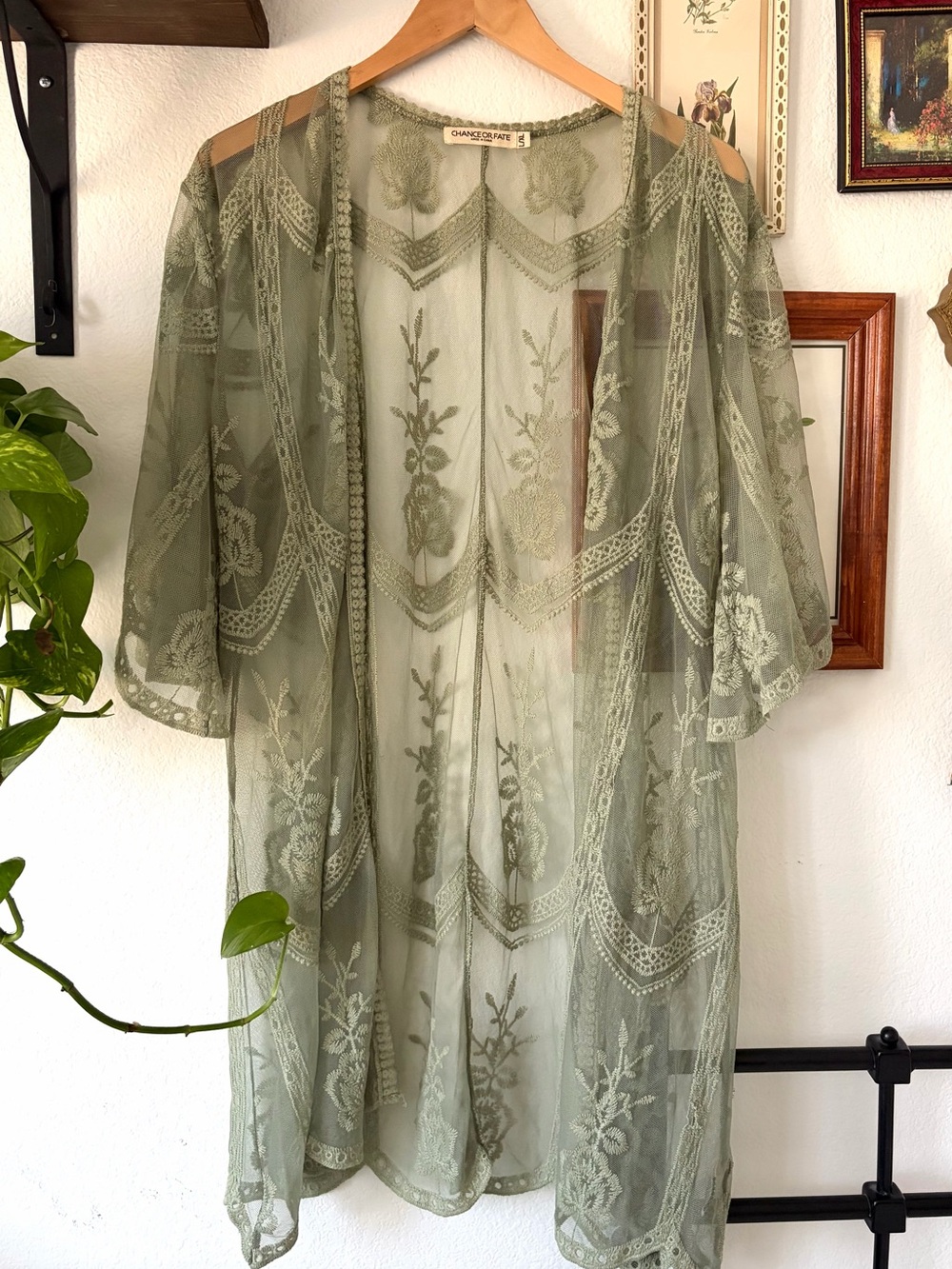 Whimsigoth Boho Sheer Embroidered Lace Kimono Duster Robe in Sage Green L/XL